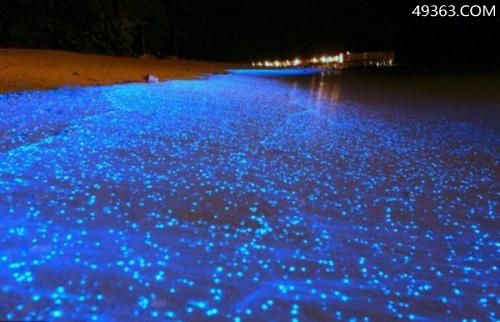 世界十大神秘自然