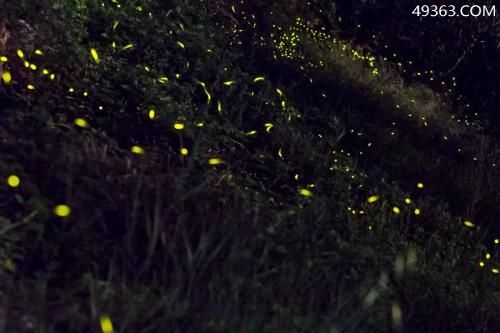 世界十大神秘自然现象，震惊世界诡异不可言