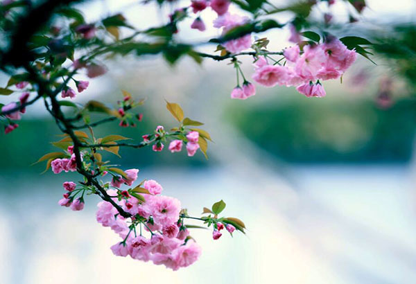 运气差怎么样转运