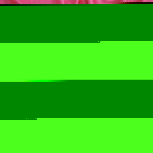 人棉是什么面料