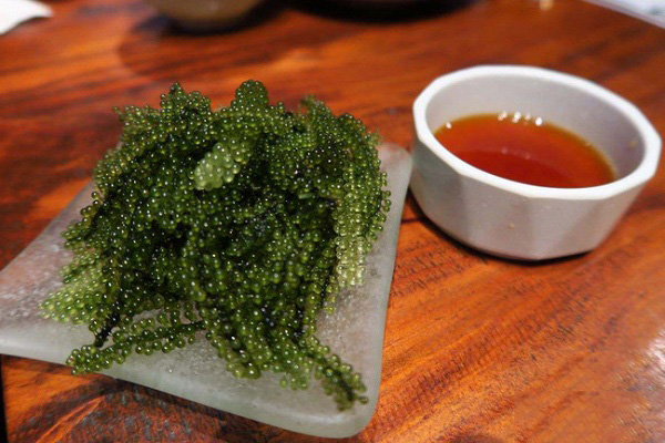 海<a  data-cke-saved-href=