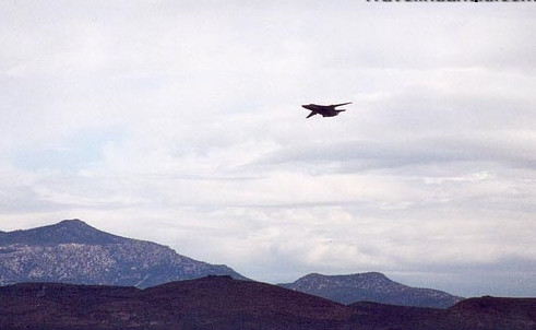 走进地球上外星人光顾最多的神秘地域（图） - 沙漠富翁 - 沙漠富翁的城堡