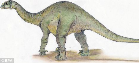 sauropod