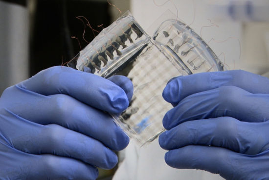 这种透明的材料可以任意拉扯而不会破损，它还能感受出这种拉扯力的大小