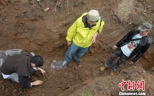 四川洪雅首次发现商周时期遗址&mdash;&mdash;王华遗址