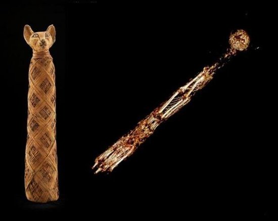 古埃及时期盛行制作动物木乃伊 数量众多