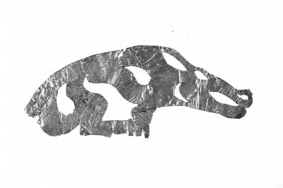 阿勒泰出土的金饰品。 阿勒泰出土的金饰品。