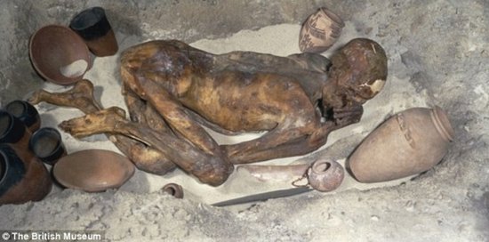 揭秘5500年前木乃伊谋杀案 3D验尸现背部刀伤