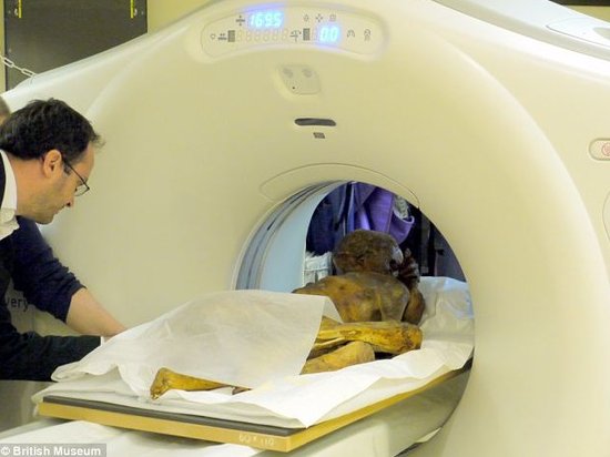 揭秘5500年前木乃伊谋杀案 3D验尸现背部刀伤