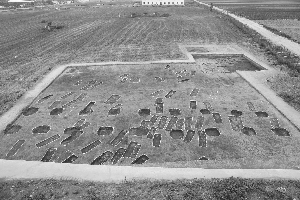 泗洪县梅花镇，秋收后的农田，看不到头。农民翻过的地方，偶有陶片露出来。陶片都是8000多年前的。农田的所在地，正是顺山集遗址。