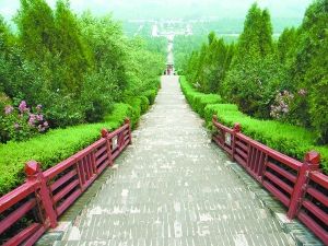 秦始皇陵神道(资料图)。