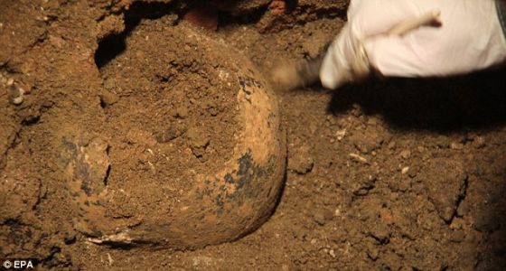 去年该科研组发现一颗头骨和其他骨骼,他们认为这些都属于丽莎-盖拉尔迪尼 去年该科研组发现一颗头骨和其他骨骼,他们认为这些都属于丽莎-盖拉尔迪尼