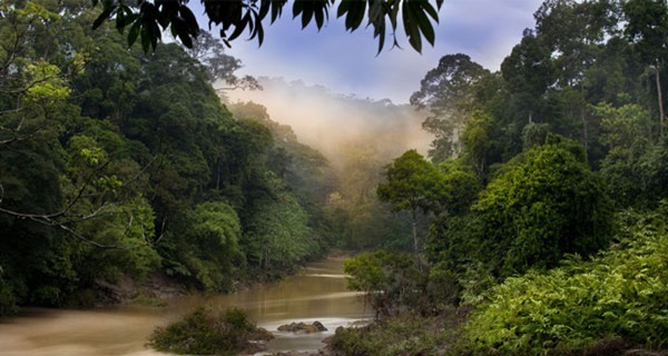 亚马逊河流域 世界最大的热带雨林区
