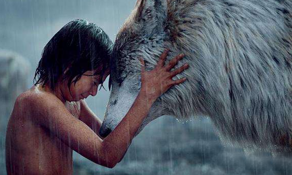 揭秘狼孩的故事,最真实的狼孩习性竟与狼相似