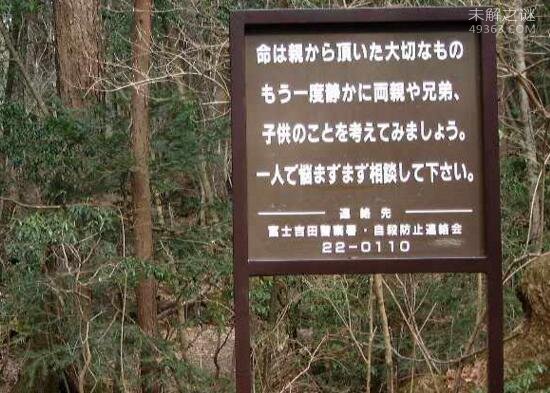 日本自杀森林