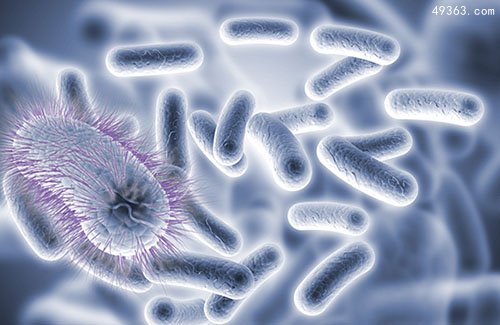 中国最美的十大长寿村排行榜 中国最有名的长寿村在哪里