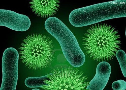 中国最美的十大长寿村排行榜 中国最有名的长寿村在哪里