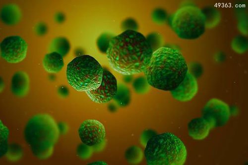 中国最美的十大长寿村排行榜 中国最有名的长寿村在哪里