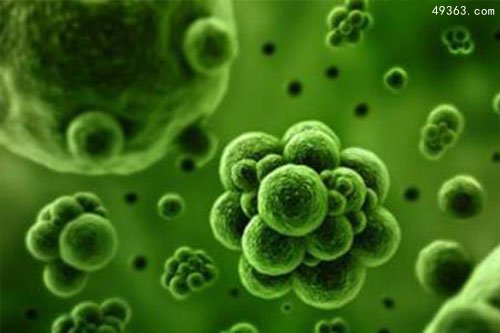 中国最美的十大长寿村排行榜 中国最有名的长寿村在哪里