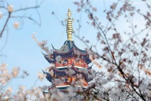 鸡鸣寺的樱花开了是什么意思