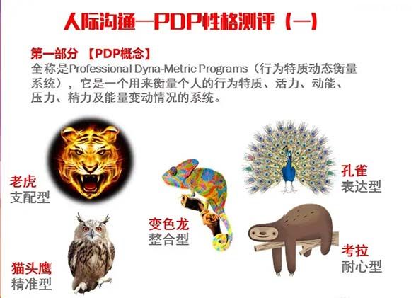 PDP动物性格测试