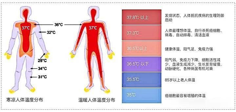 人体最标准的一个温度是37℃，如今人类的体温为何持续下降