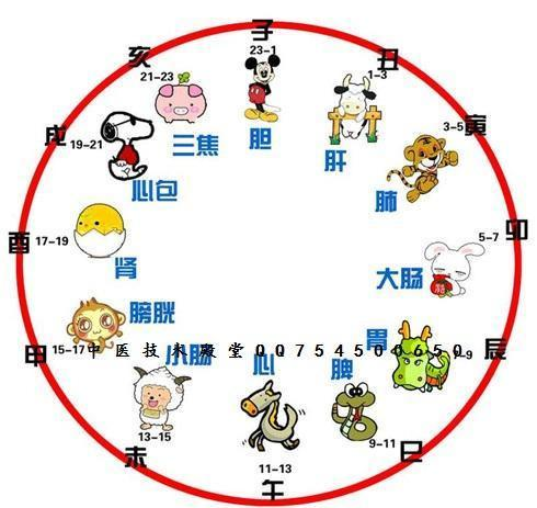 五禽戏和八段锦哪个好(一文详解五禽戏跟八段锦的对比)