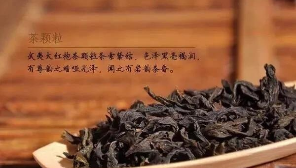 大红袍属于什么茶(大红袍茶的作用与功效)