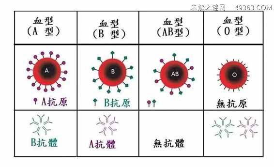 熊猫血为什么不能告诉别人