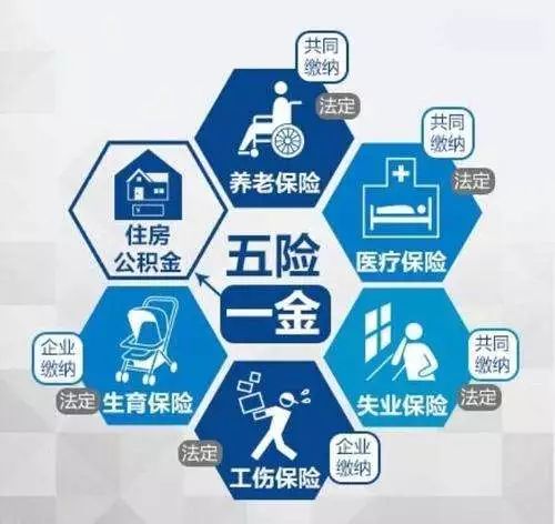 五险一金离职了是不是白交了