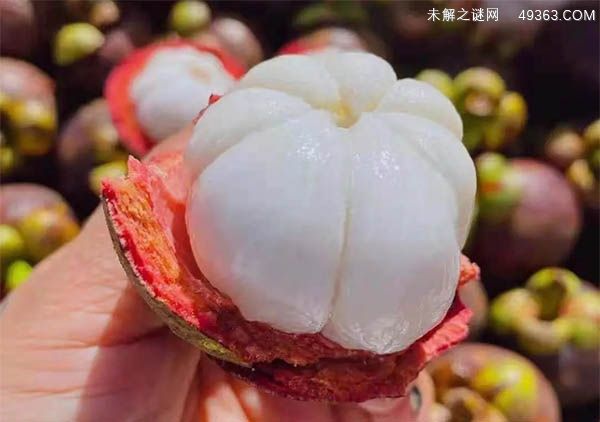 山竹是什么季节的水果