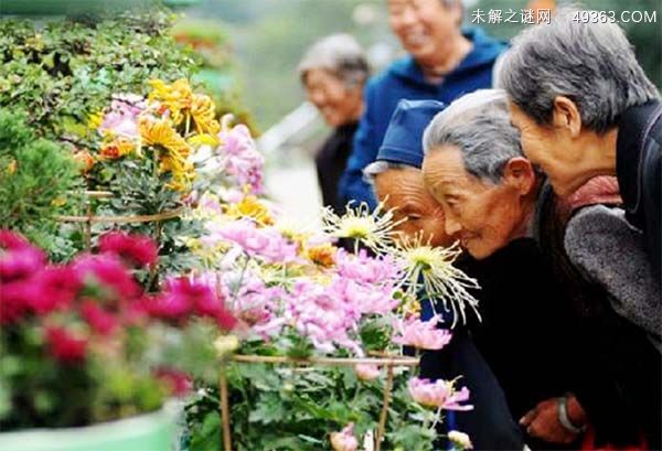 重阳节有什么风俗传统