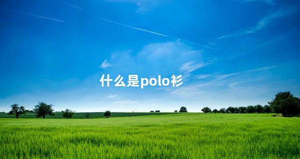 什么是polo衫