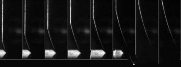 科学家研究发现    蜘蛛竟能感知纳米振动