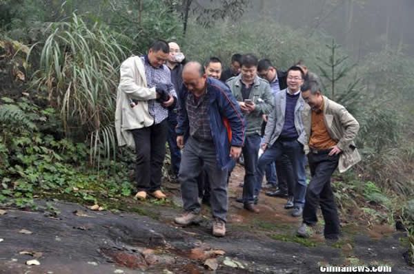 专家组实地考察最新发现的恐龙脚印