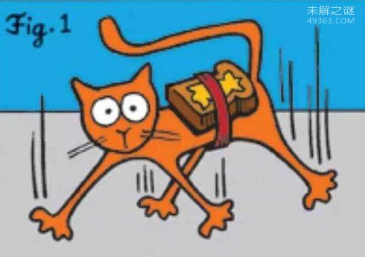 黄油猫悖论，这么好玩的实验你是否了解呢？