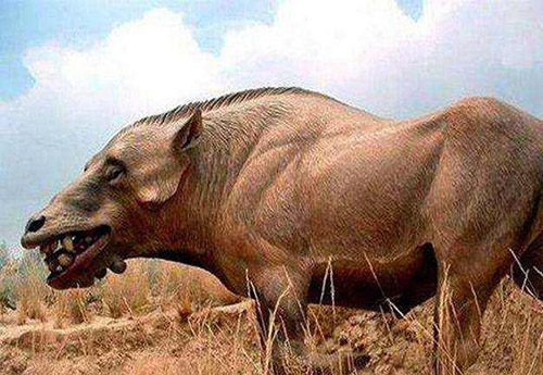 令人恐惧的巨型怪兽恐怖猪，不仅长得丑猎食相当凶猛